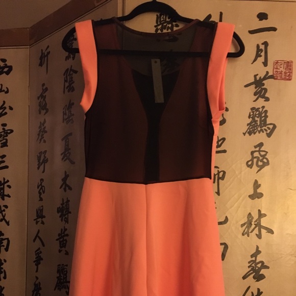 PEACH Mesh Mini Dress - Picture 2 of 4